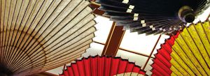 Kanazawa Umbrellas