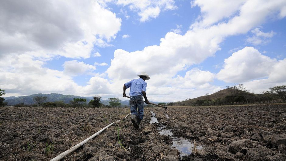 irrigation dryland