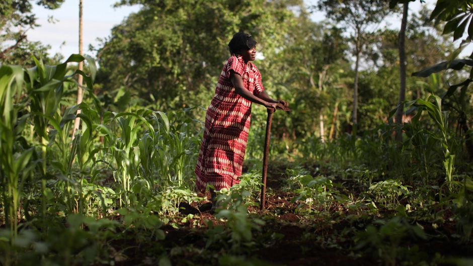 The Global Village: How Indigenous African Tribes Navigate A Changing World