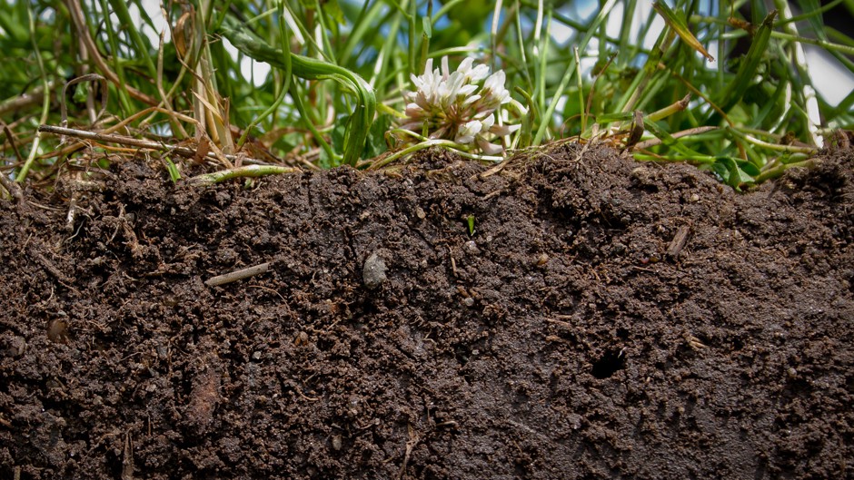 the-surprising-healing-qualities-of-dirt-our-world