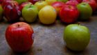 Home-grown food in schools for a green economy
