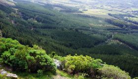 Natural Capital Valuation Viewed from an African Context