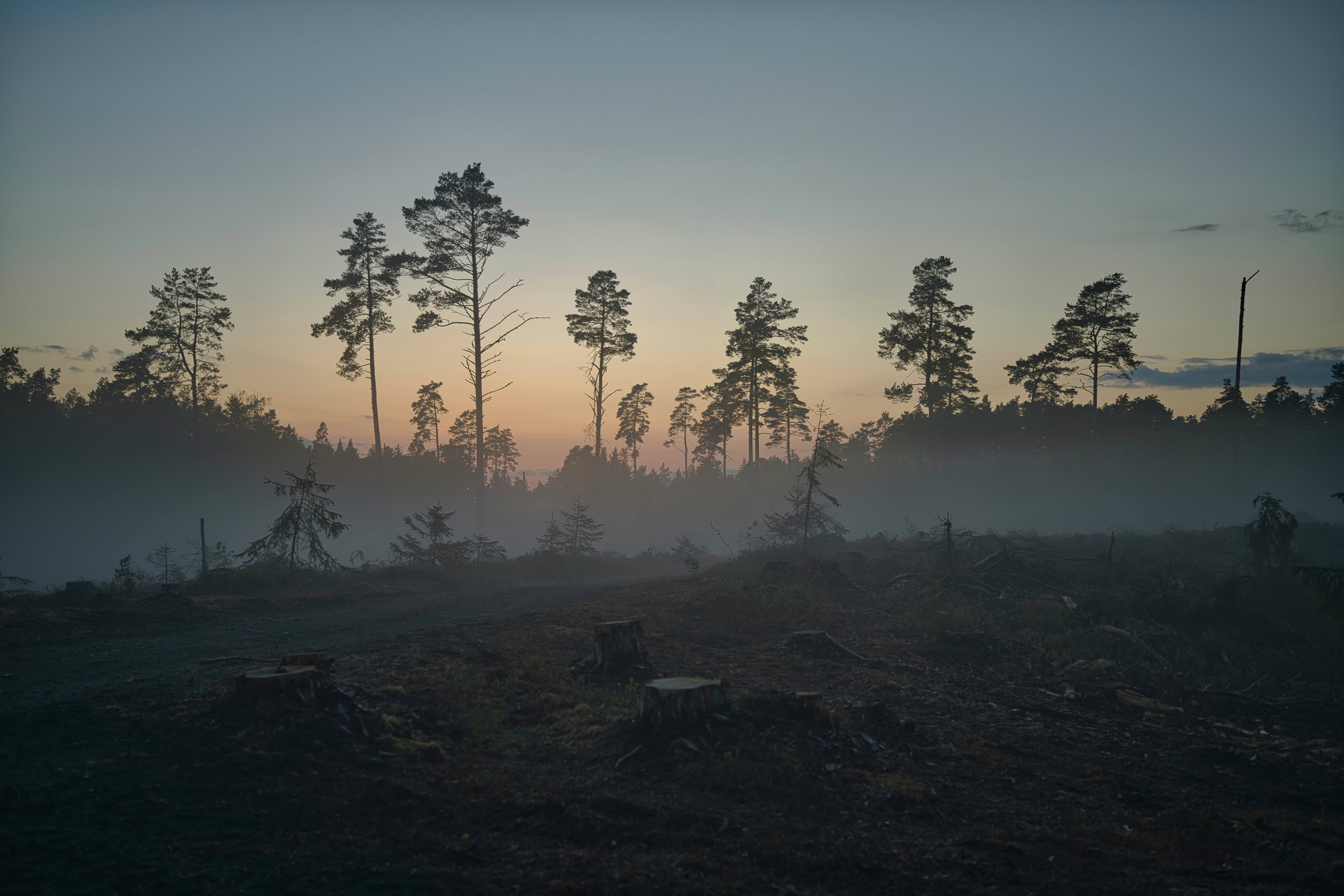 What Is Forest Landscape Governance