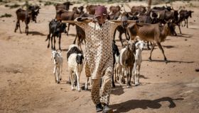 Thematic Review on Climate-Security and Peacebuilding