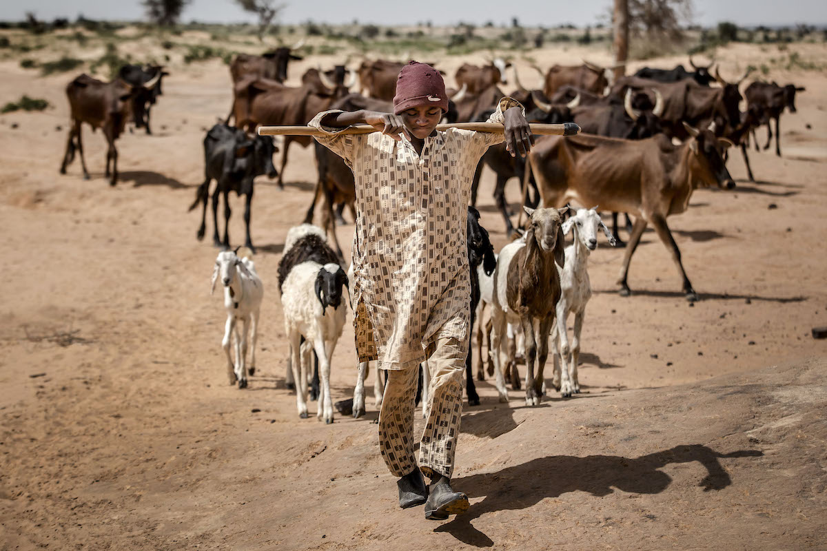 Climate-Security_Niger