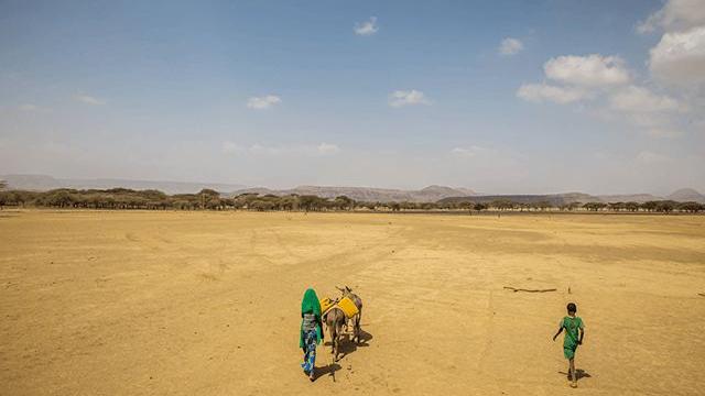 People on the move in an Africa desert