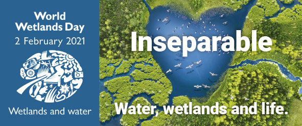 World Wetlands Day, Community Events, News