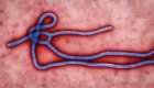 Ebola virion