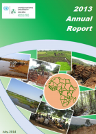2013-annual-report-cover