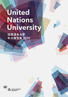 UNU Annual Report 2019