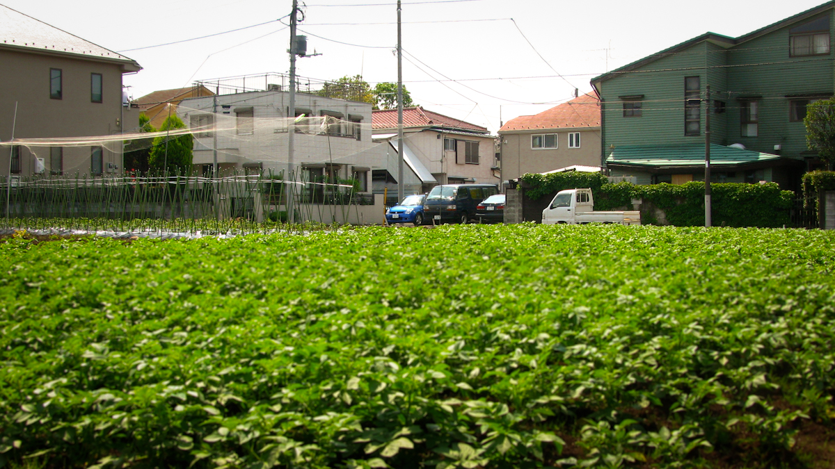 住み心地の良い都市のための都市農業 国連大学