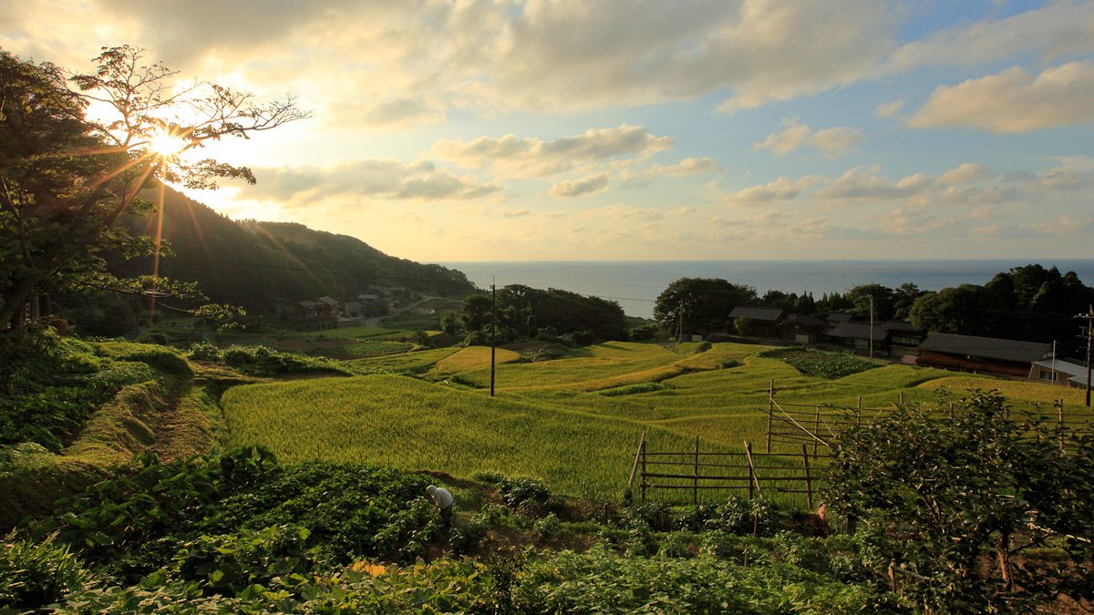 Игра japan rural. Деревня сатояма. Сад сатояма. Сидэ Япония. Japanese rural by the Sea.