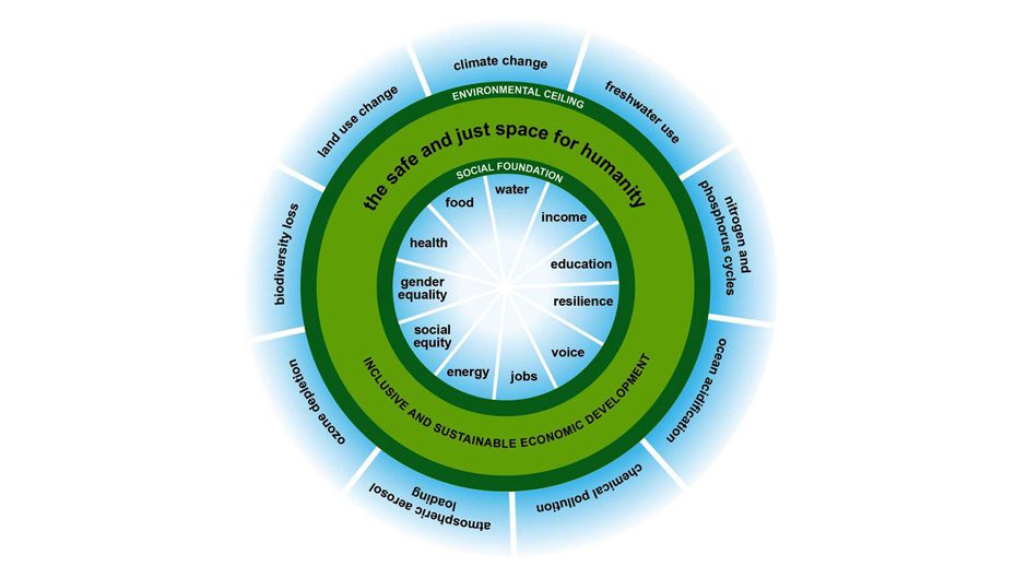 Want to Get into the Doughnut - Tackle Inequality