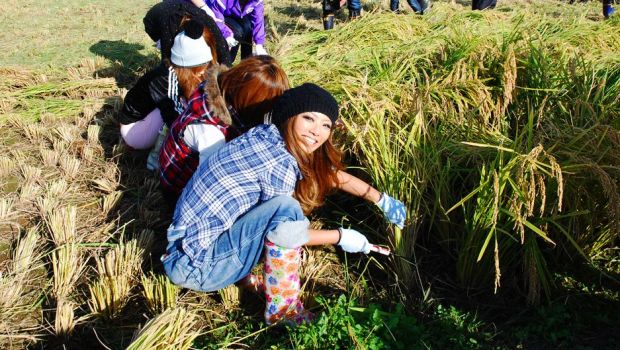 "List Of University In Bangkok"