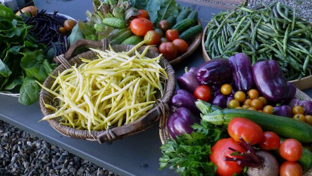 New Research Says Plant-based Diet Best for Planet and People - Our World