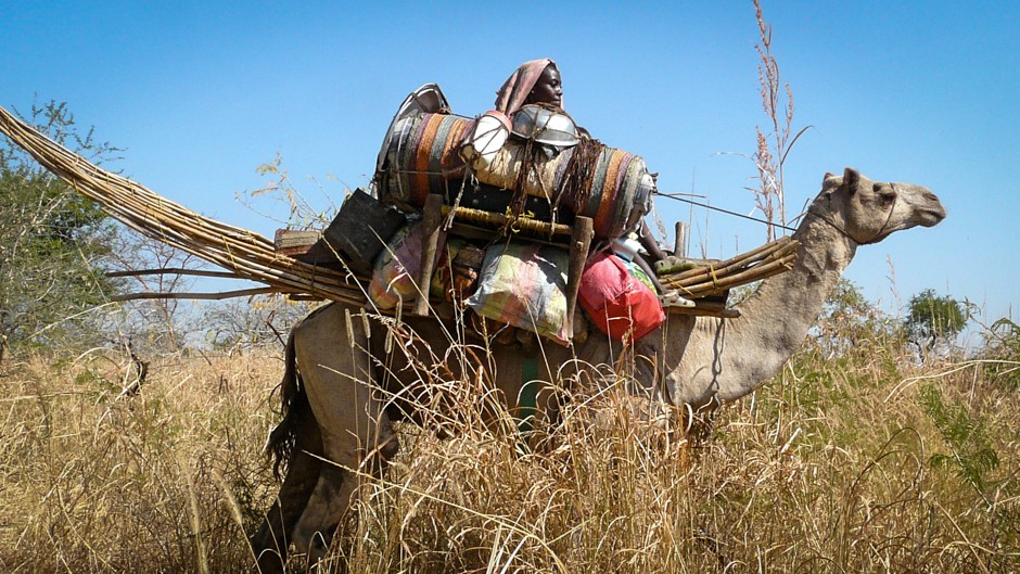 sands-shifting-for-africa-s-nomadic-herders-our-world