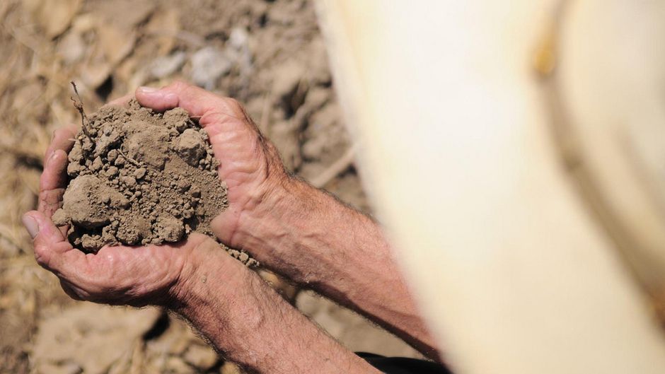 No Such Thing as a Free Lunch Investing in Healthy Soils