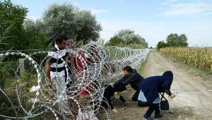 Europe's Disgrace - Our World