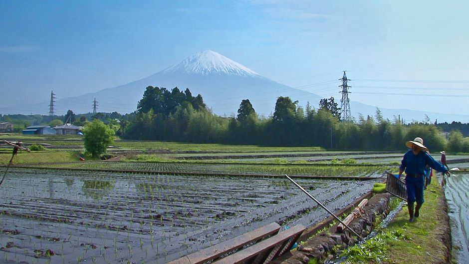 Mt. Fuji Eco-village Connects to a Greener World - Our World