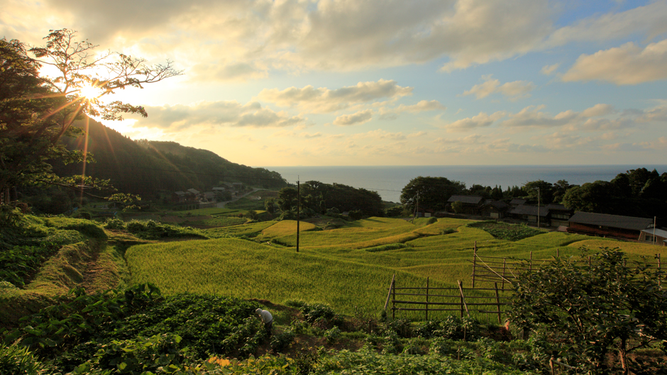 Japan should look to satoyama and satoumi for inspiration