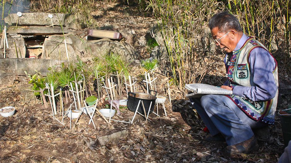 Sacred groves sustain bio-cultural richness in Yunnan forest