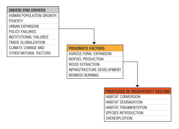 South-Asia_bio_loss-graph1