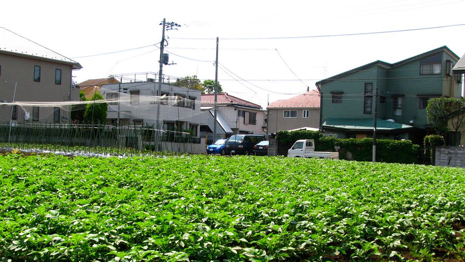 Japan’s urban agriculture: cultivating sustainability and wellbeing