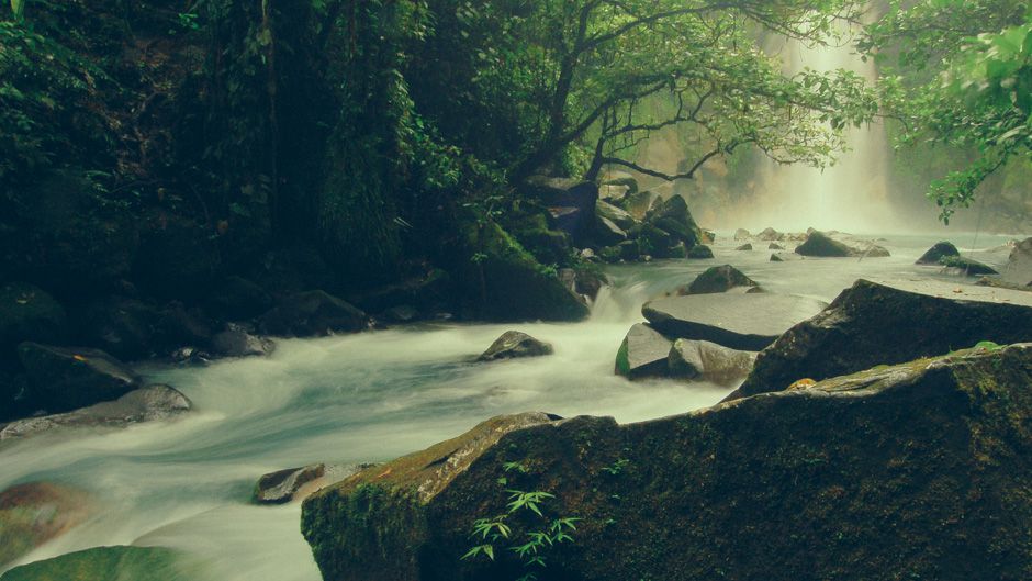 Forest, Water, and Struggle: Environmental Movements in Costa Rica