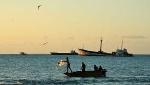 Can No-take Fishery Reserves Help Protect Our Oceans? - Our World
