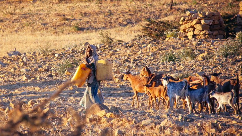 Stemming Rural Depopulation in Ethiopia