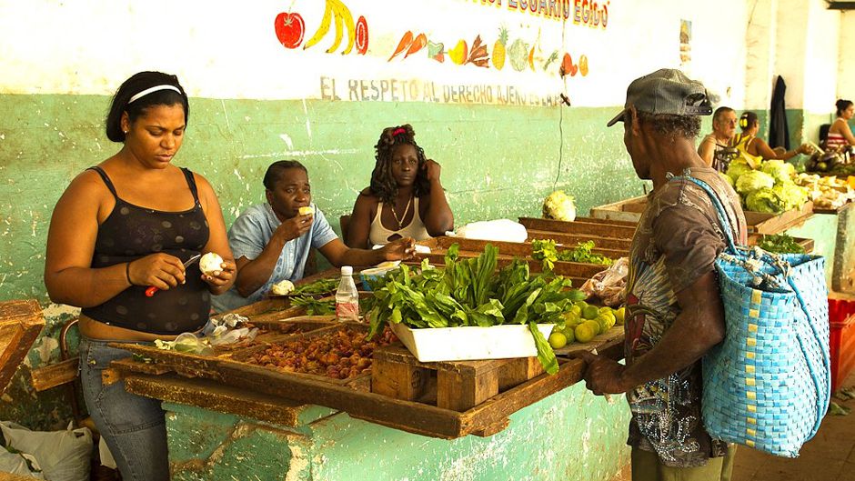 Cuba Seeks to Guarantee Food Supplies in Changing Climate Our World