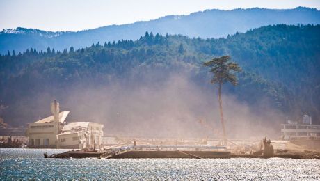 Deep roots of community resilience