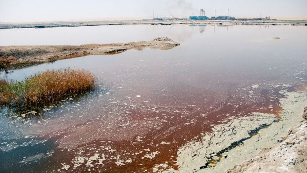 Prize to Scientists Working on Real World Problems - Our World