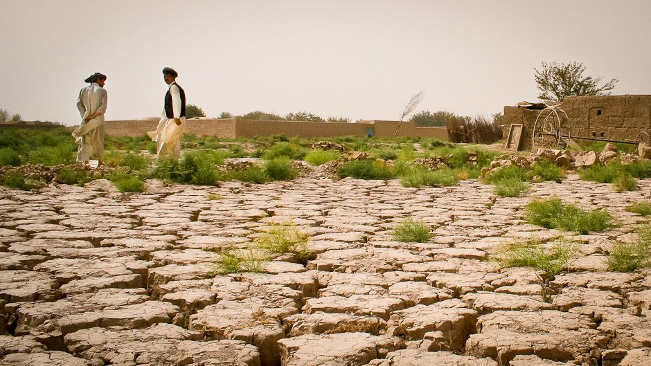 Desertification crisis affecting 168 countries worldwide, study shows