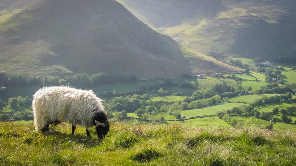 Champions of Cumbria's Human Landscapes