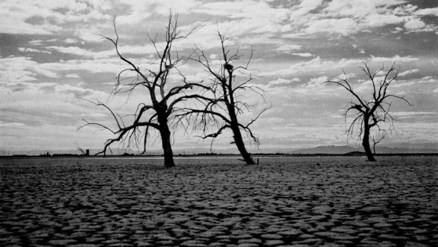 ファンはトム・ホランドの注意を引くために写真を再現 – 何が起こったのか見てください