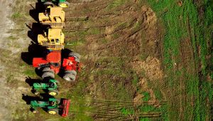 猫のトイレ: 猫砂の量はどれくらい必要ですか?