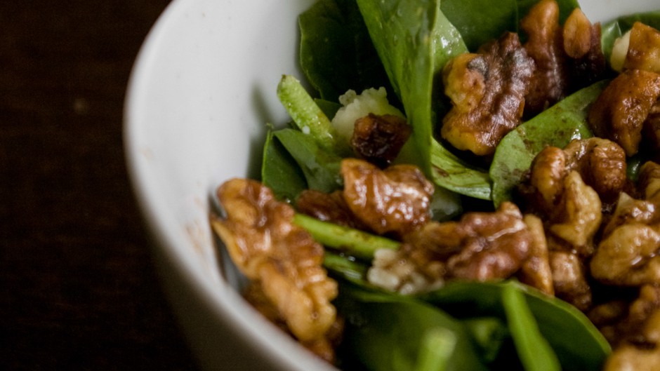 低光量を必要とする屋内植物 - Ficus benjamina