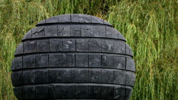 奇妙:額に歯のあるピューマが米国の科学者の興味をそそる