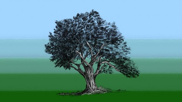 マスターベーションの利点について話しましょう?