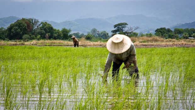 CO2排出量の8割を57社が占めている