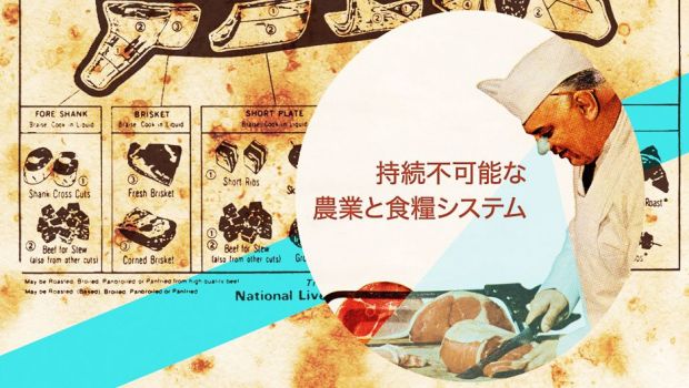 再生不可能なリソース: その概要と例 - 再生不可能なリソースの例