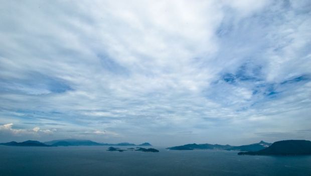 エコシステムの構成要素とは何か - エコシステムはどのように機能するか - 概要