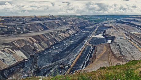 小さな黄色い頭、オカメインコにとっては大きな心配事