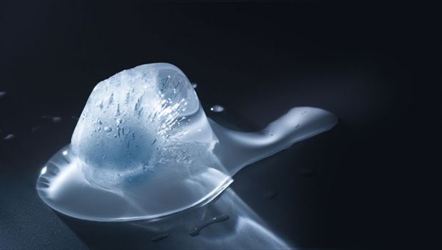 気候変動主義者: 食生活が環境保護にどのように役立つか