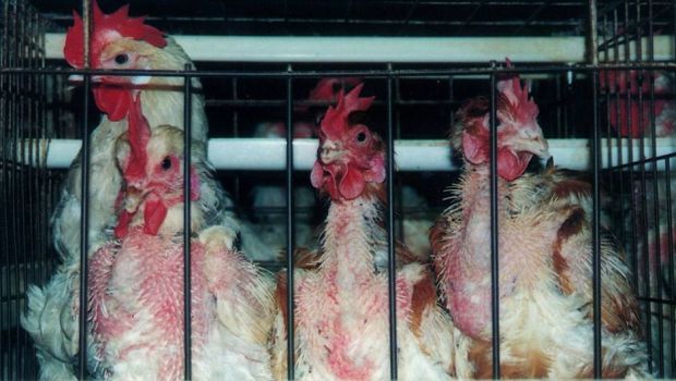 読むべき現代ホラー作家5人