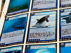 ライオンは絶滅の危機に瀕していますか?