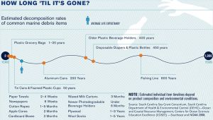 水質汚染が海洋動物に与える影響 - 海洋汚染、海や海洋の汚染とは何ですか?