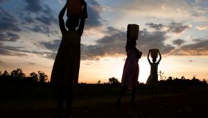 ピーターボールド – 賢い足を持つ裸の卵