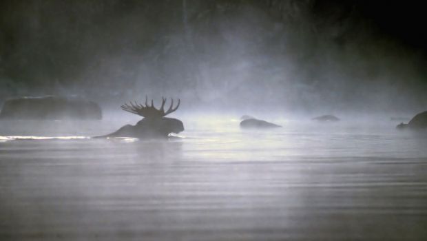 土壌保全: 重要性、技術、実践